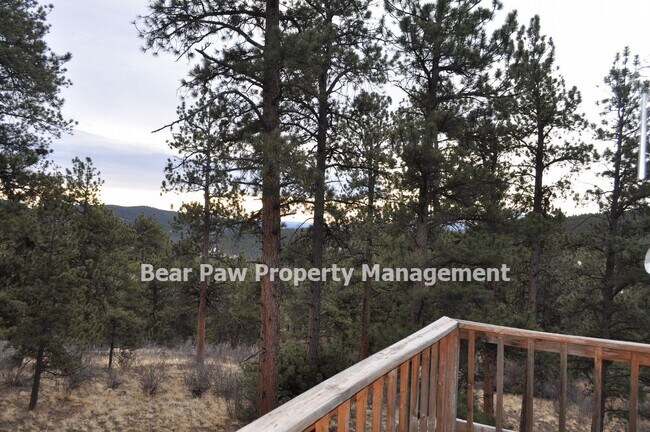 Building Photo - Awesome Mountain Home in Pine