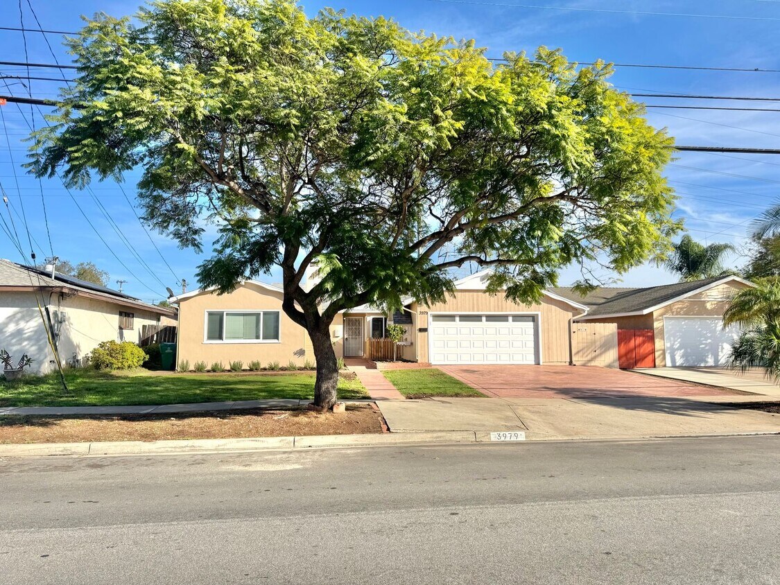 Primary Photo - Beautifully Remodeled 4bd/2.5ba CLAIREMONT Home! Fenced yard, garage, PET friendly!