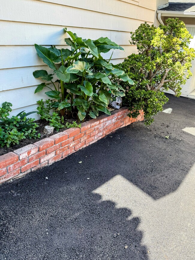 Building Photo - 376 Caprino Way