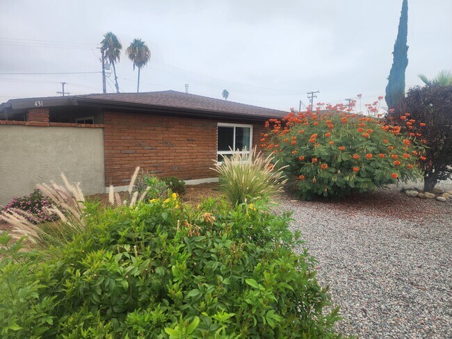 Jardín delantero - 431 S Simpson Ave