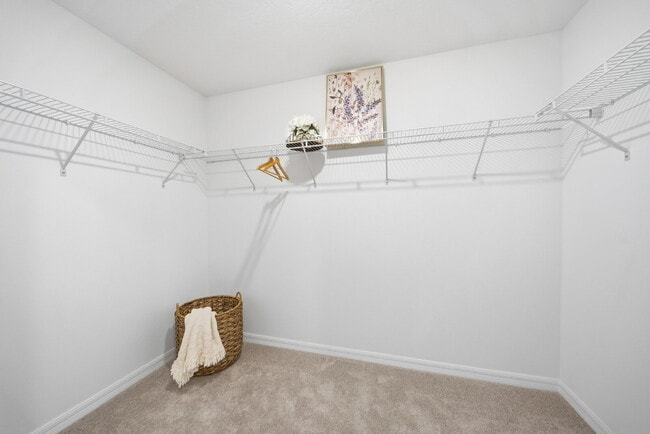 Foto del edificio - Charming 3-Bed Oasis with 2 Baths in Land O' Lakes – Your Ideal 1,448 Sq Ft Retreat!