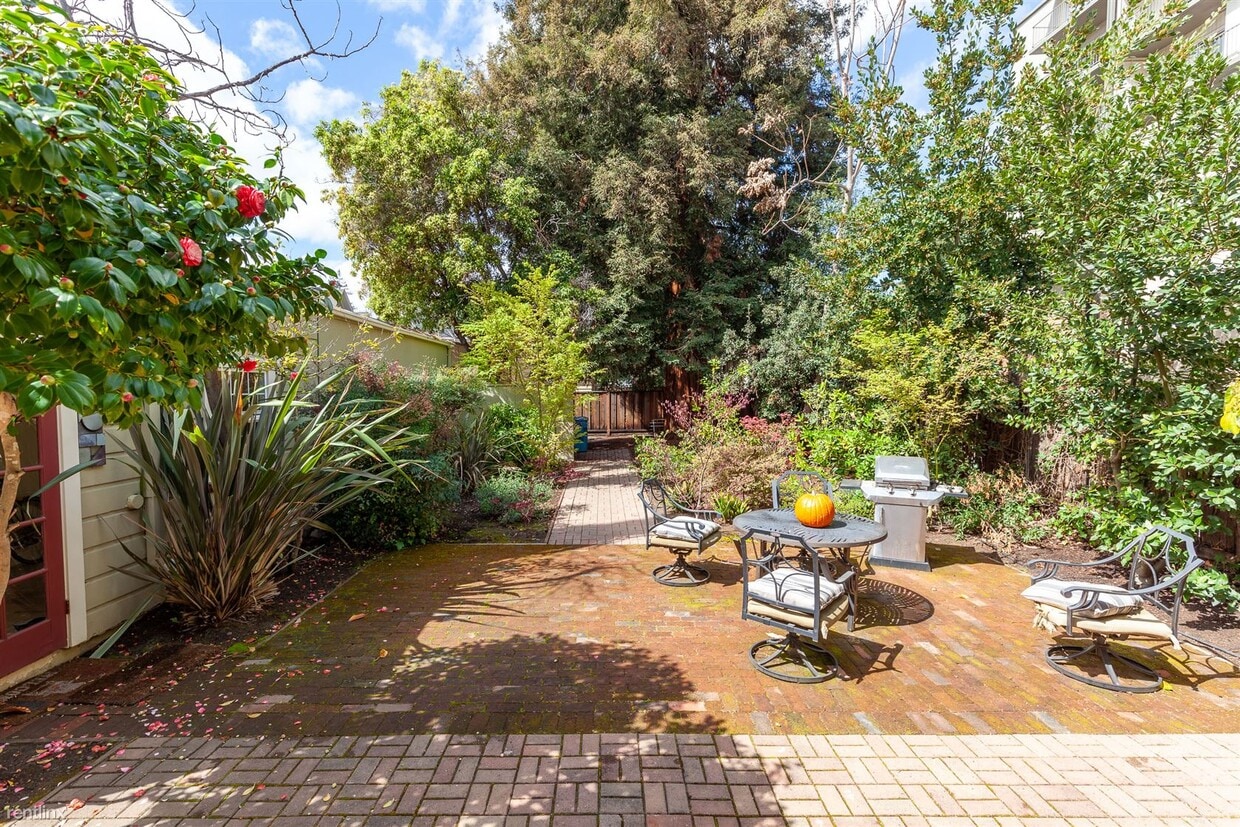 521 Everett Ave, Palo Alto, CA 94301 Room for Rent in Palo Alto, CA