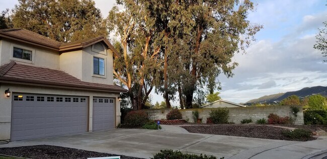 Building Photo - 3983 Santa Tomas Pl