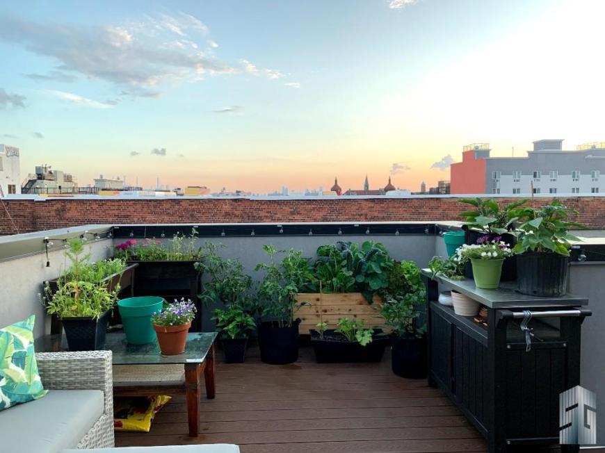 Foto principal - 2 bedroom in BROOKLYN NY 11216