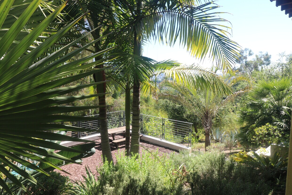 Garden - 4825 Nob Hill Dr