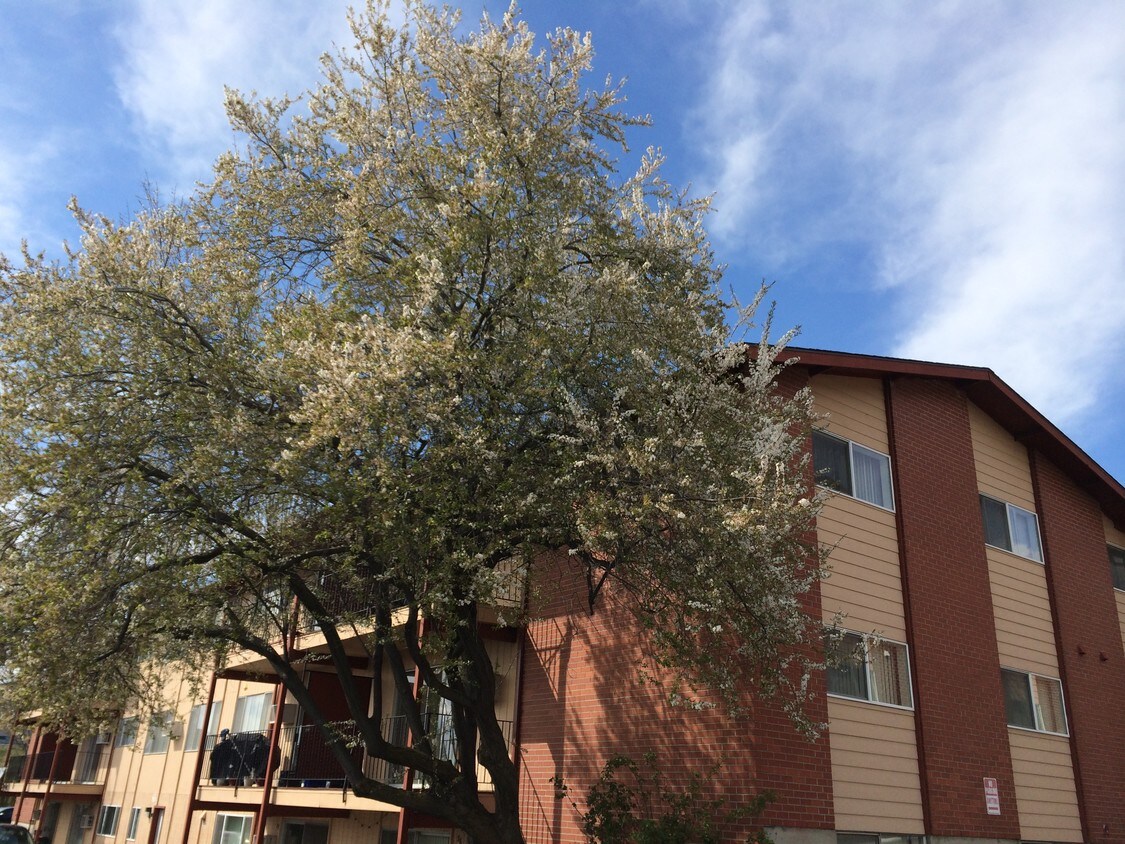 1025 W A St, Moscow, ID 83843 Apartments Moscow, ID