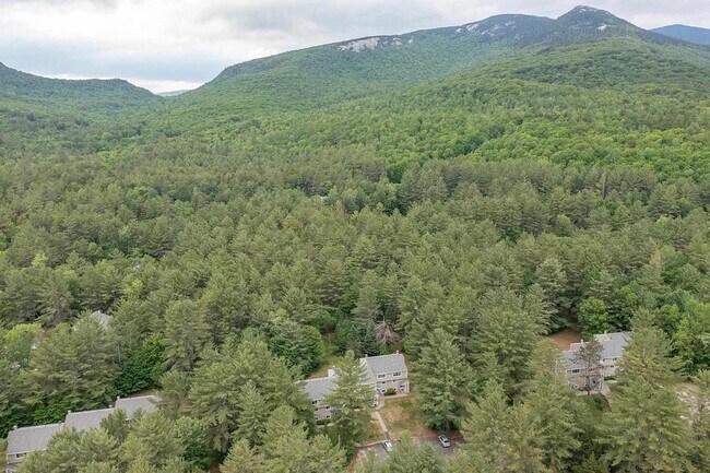 Foto del edificio - 22 Orris Rd