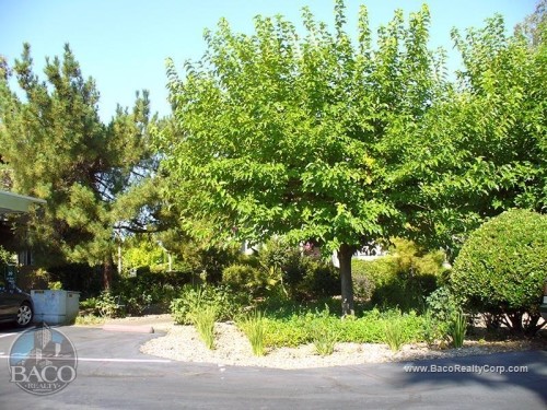 Building Photo - Shasta Villa Apartments