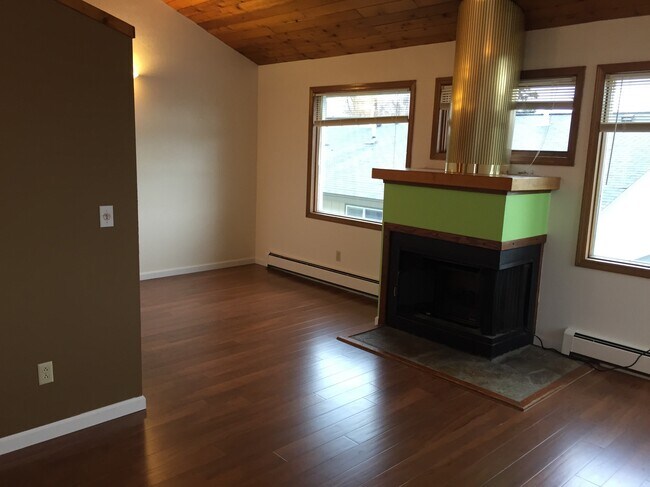 Electric Fireplace Insert - 2304 McRae Rd