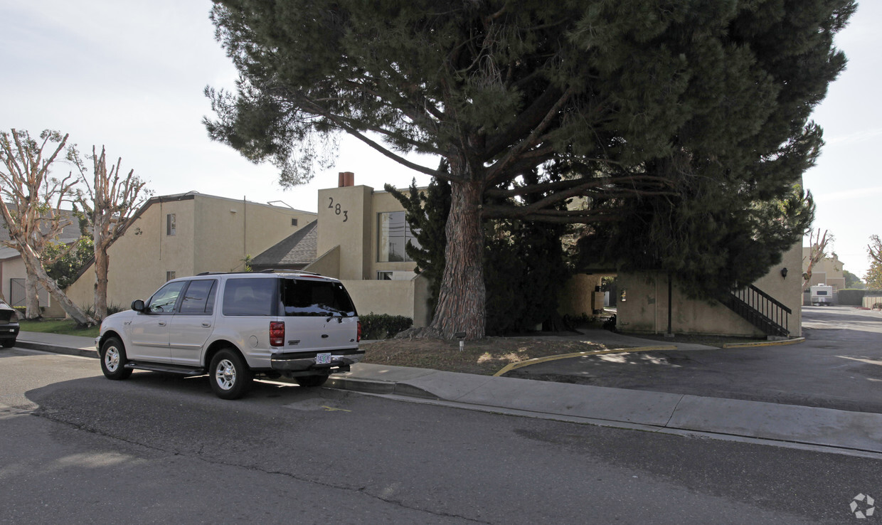 Primary Photo - Loft Apartments