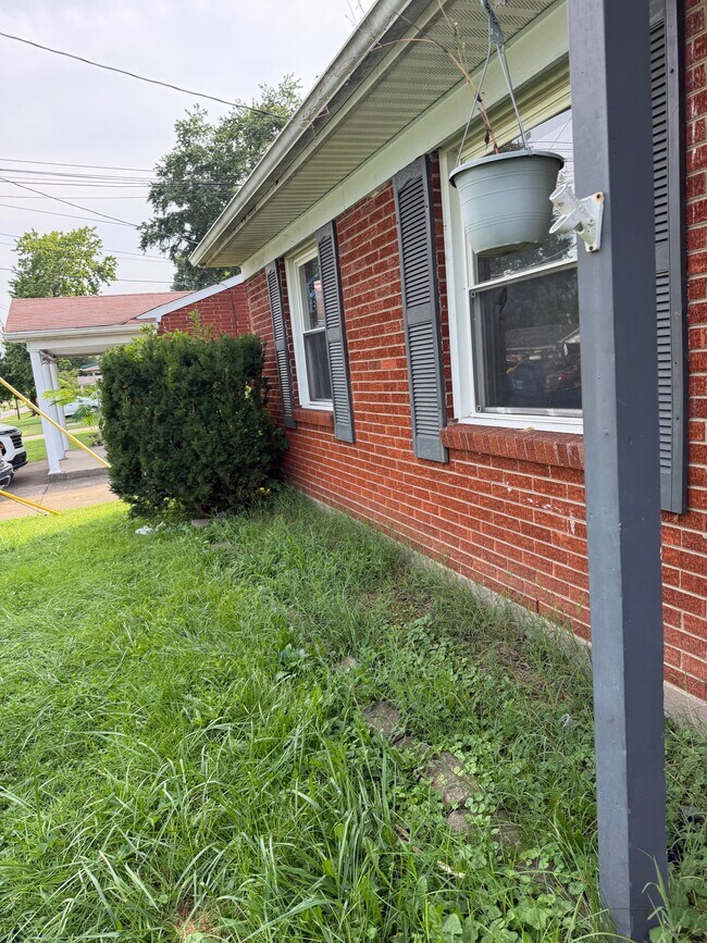 Foto del edificio - 254 Blossom Rd