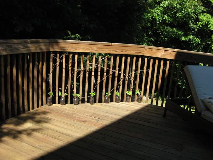 Foto principal - 1229 Winsted Rd