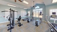 This fitness center is a single-level space designed to support a well-rounded workout routine. The room is painted in a calming soft teal, creating an open and refreshing atmosphere. Vaulted ceilings in portions of the space add a sense of height and airiness, complemented by ceiling fans that promote air circulation throughout. A patterned, neutral-toned carpet covers the floor, providing a comfortable surface underfoot.

Natural light is a prominent feature, with multiple windows fitted with white blinds lining the walls, including a distinctive arched transom window that draws the eye and floods the space with outdoor views of the surrounding landscape. French-style glass doors connect areas of the gym and provide additional brightness.

The fitness center is equipped with a variety of cardio machines, including treadmills, ellipticals, a stationary bike, and a recumbent-style cycle. A multi-station cable strength training machine is also present, offering options for resistance-based exercise. Stability balls and additional accessories round out the available equipment. Fluorescent overhead lighting supplements the natural light, ensuring the space remains well-lit at all hours.