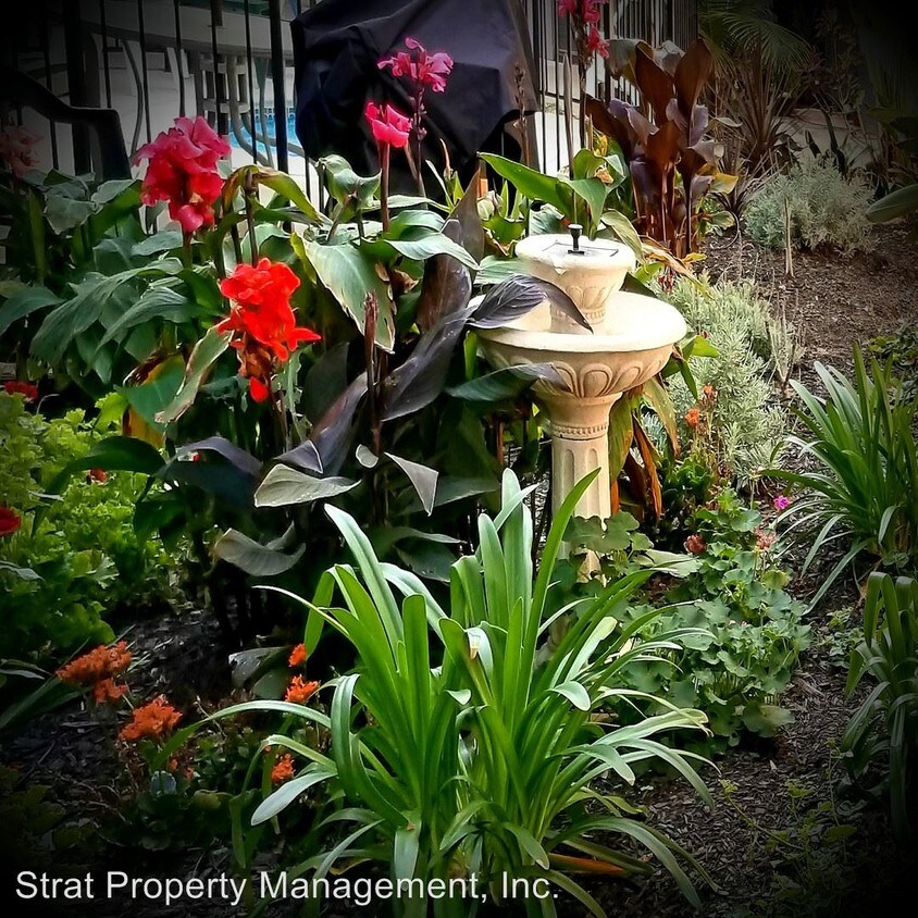 Foto principal - 225 Redwood St