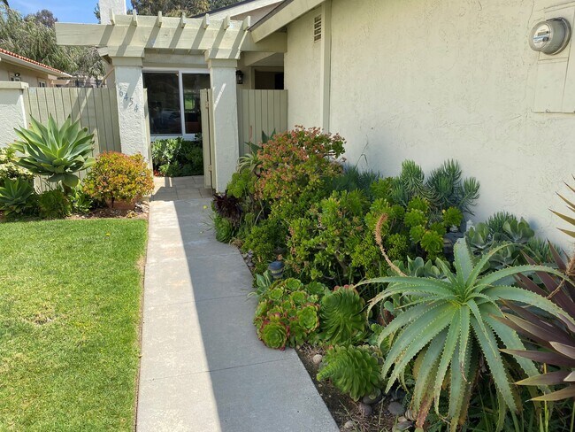 Front Walk - 6454 Camino Del Parque
