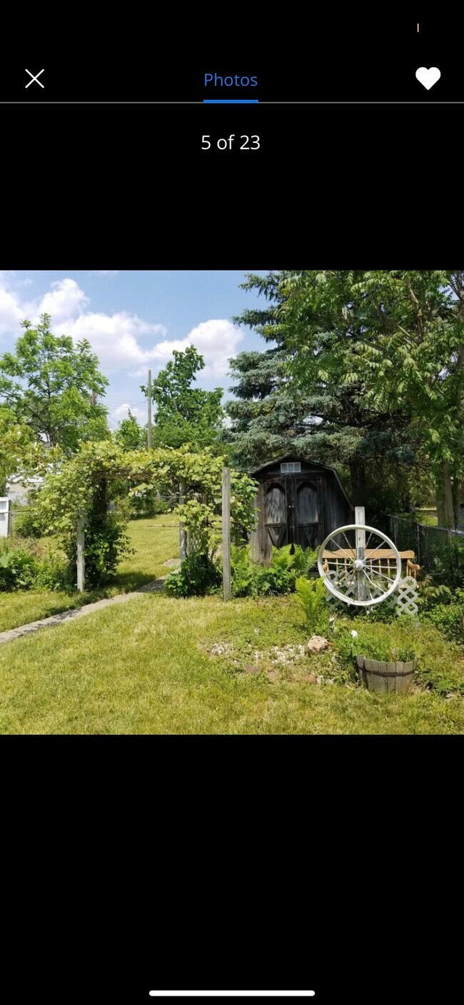 Backyard - 1342 E 18th Ave
