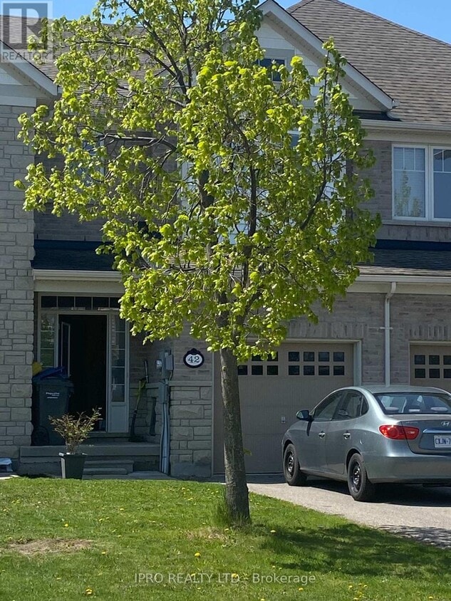 Primary Photo - 42 Icefall Rd