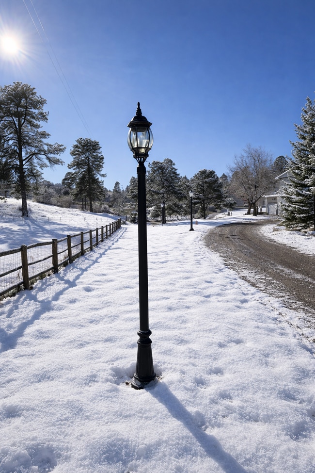 Driveway - 1290 Starling Ln