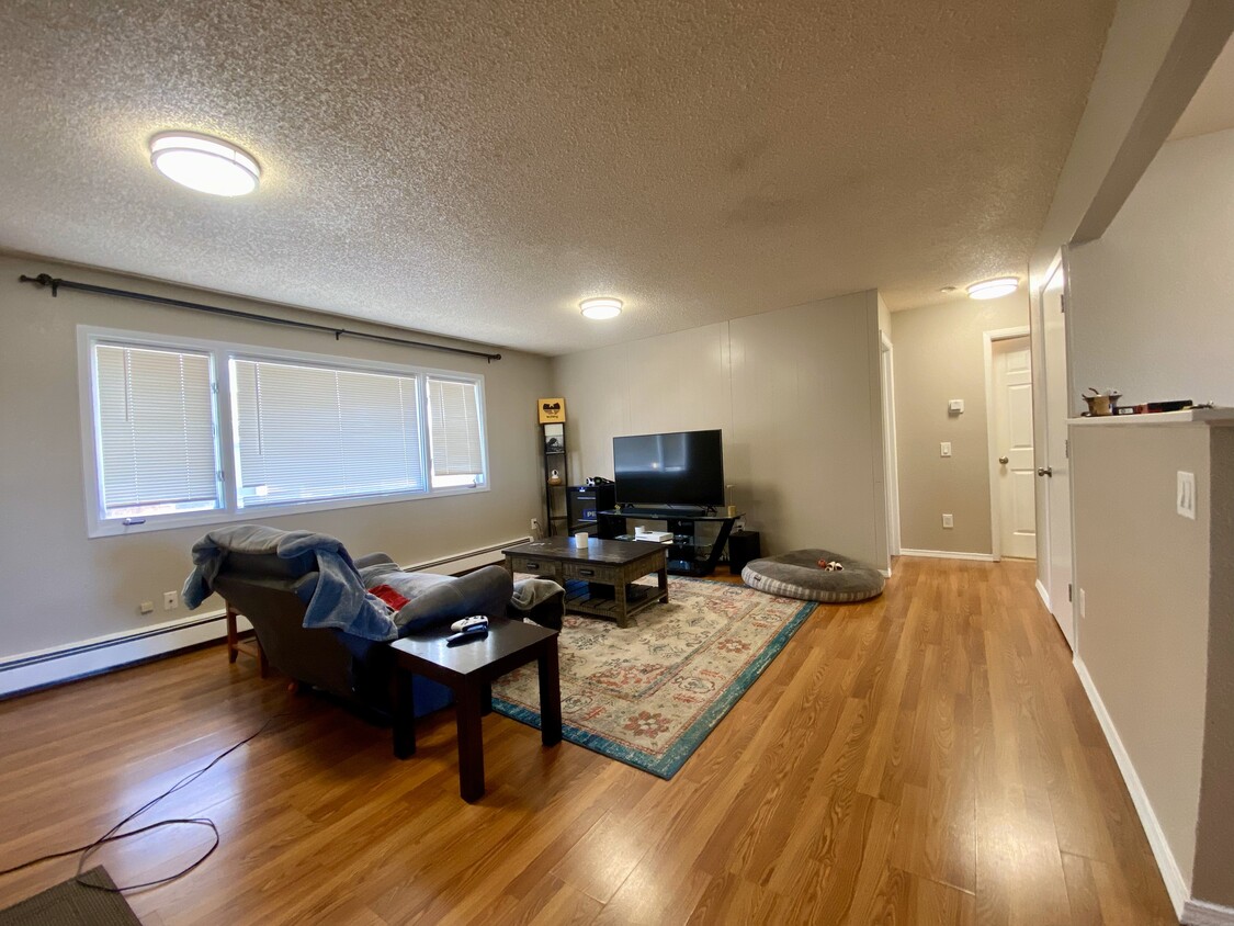 living room - 917 E 46th Ct