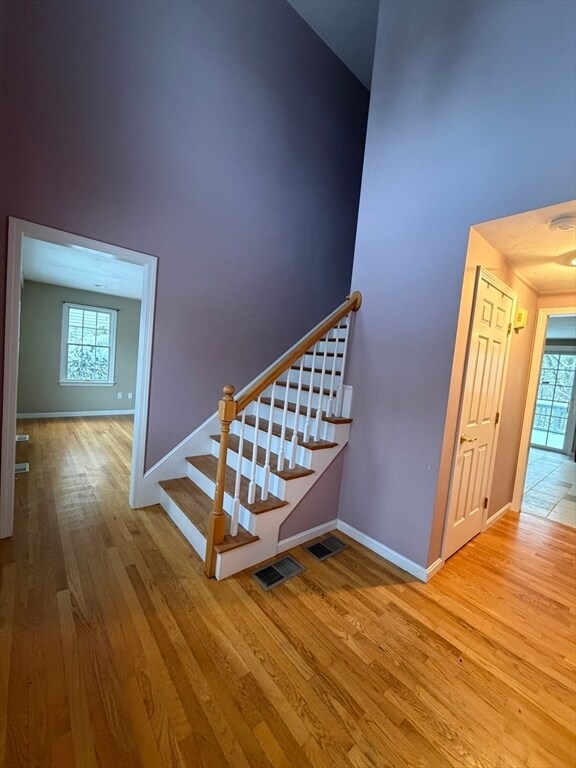 Foto del edificio - 25 Wren Terrace