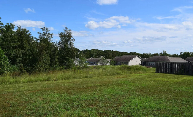 Backyard view - 24353 Tanglewood Rd