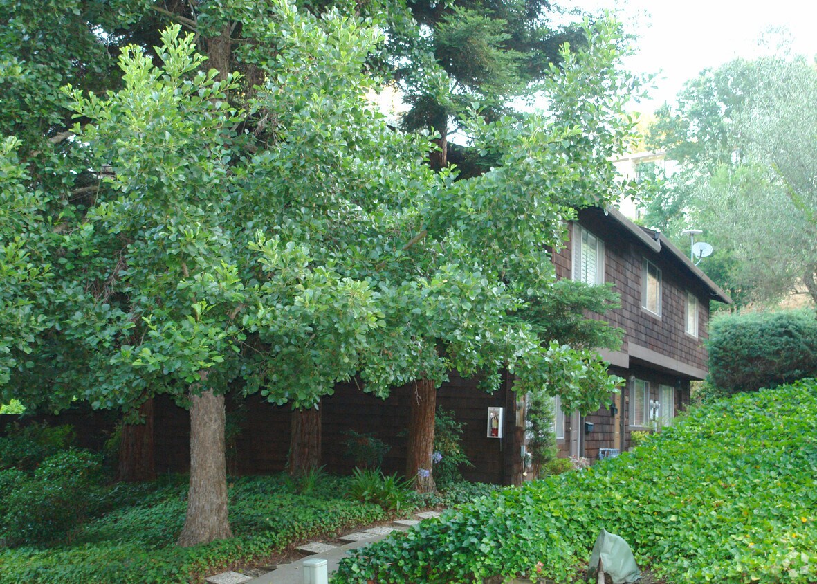 Building Photo - 3280-3284 Marlene Dr