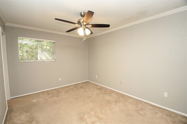 Building Photo - Studio in the 78704