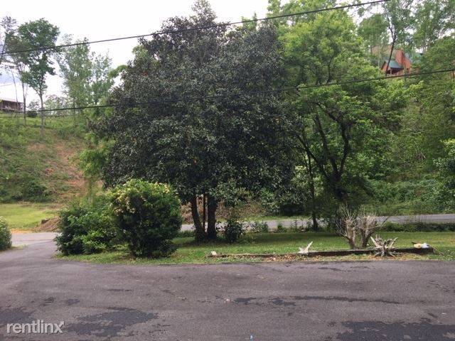 Building Photo - 2 br, 2 bath House - 282 Beech Branch Rd