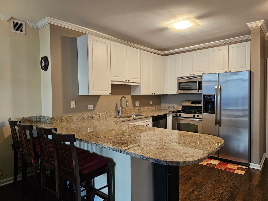 21 W Chestnut St Unit 1503, Chicago, IL 60610 Condo for Rent in Chicago, IL