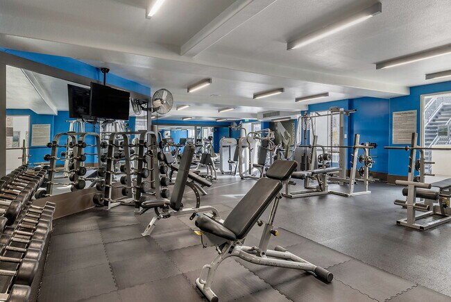 Building Photo - Aqua at Marina del Rey