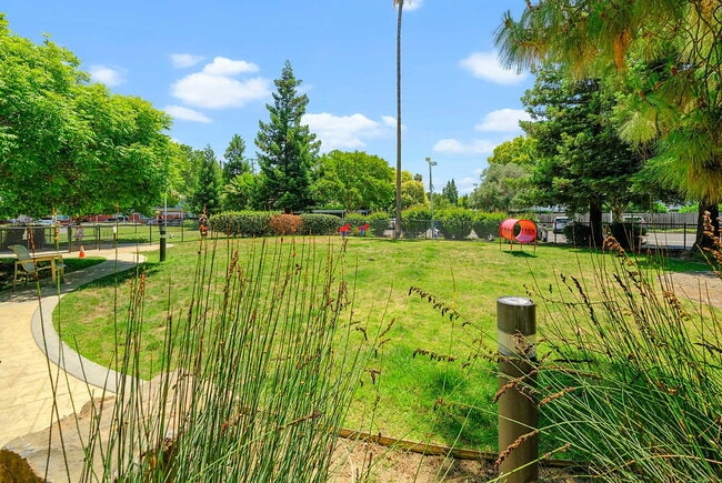 Building Photo - The Parc at Pruneyard