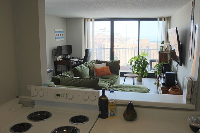 Foto del edificio - 3660 N Lake Shore Dr