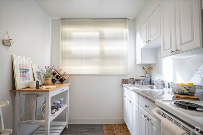1BR, 1BA - 571SF - Kitchen - Westlake