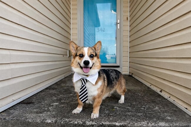 Foto del edificio - 342 Turkey Run Dr