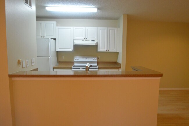 Foto del edificio - TAMPA: The Landing of Tampa! 1 bed/1 bath,...