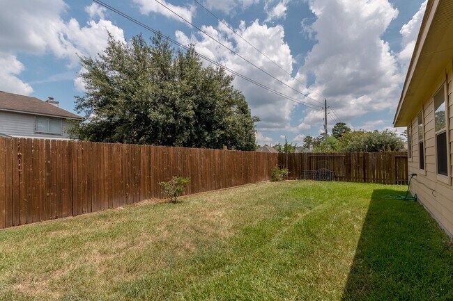 Back Yard - 503 Glenwood Ridge Dr