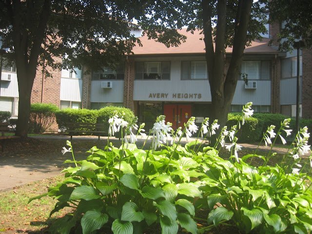 Foto del edificio - 300 Brandegee Ave