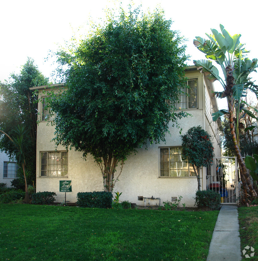 tree obstruction - 10716 Camarillo St