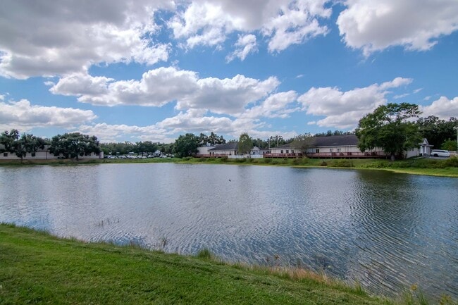 Foto del edificio - Lake Front - Ground Floor - Renovated 2 Be...