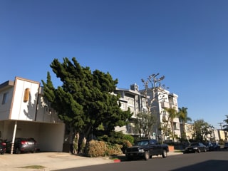 Foto del edificio - 1610 Barry Ave