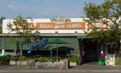 Retail Store - Rocky Peak Apartments