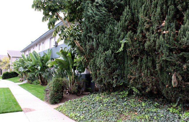 Foto del edificio - Fern Grove Apartments