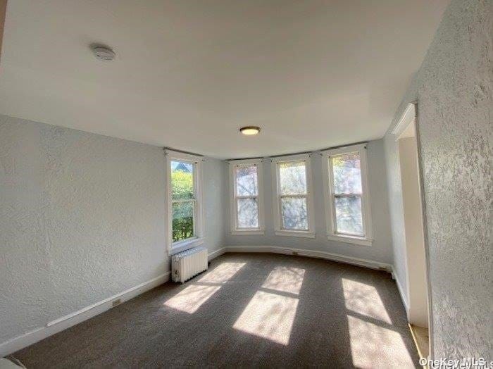 103 Murray St, Binghamton, NY 13905 Apartment for Rent in Binghamton