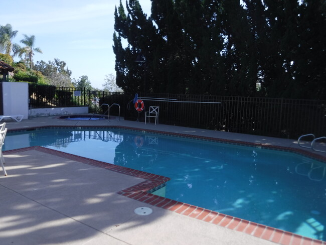Community Pool and Spa - 1720 Woodbrook Ln