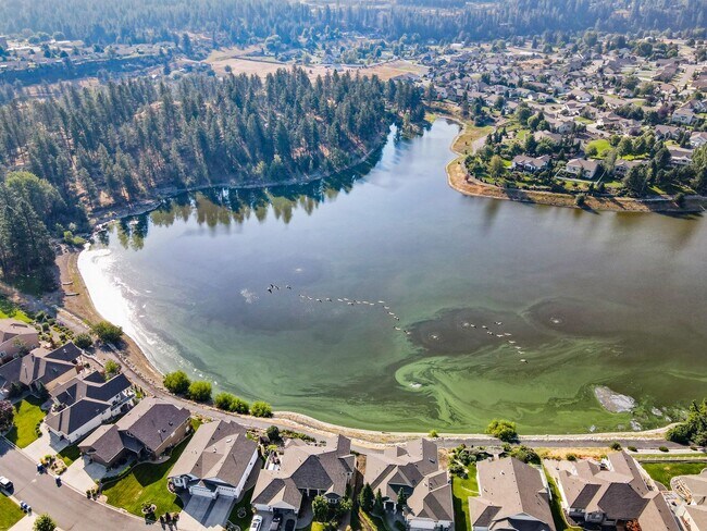 Foto del edificio - Dream Home At Shelley Lake