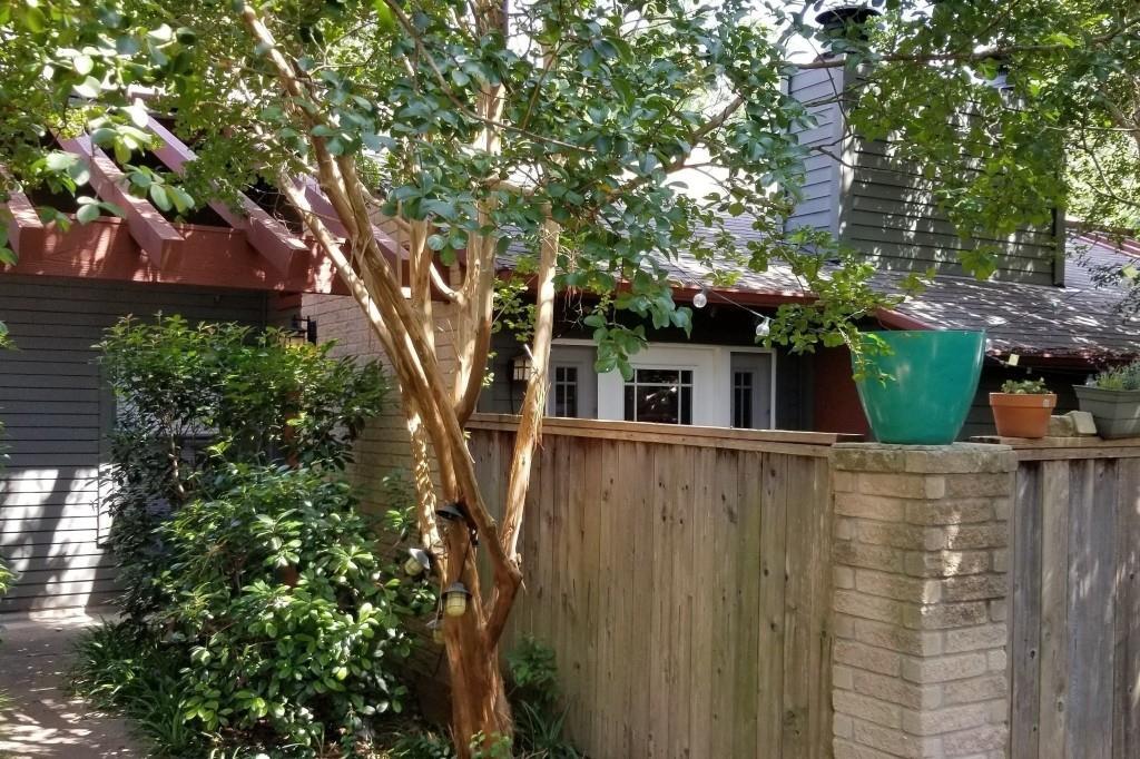 Primary Photo - 3815 Menchaca Rd