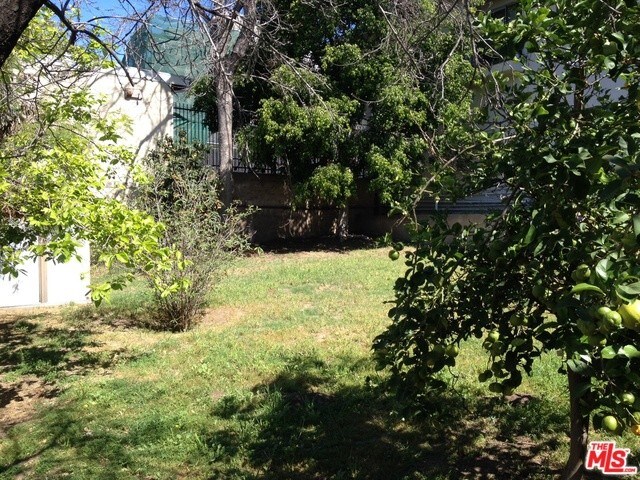 Big grassy backyard - 1631 Morton Ave