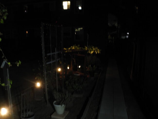Night lights from garden - 1934 Henderson Ave