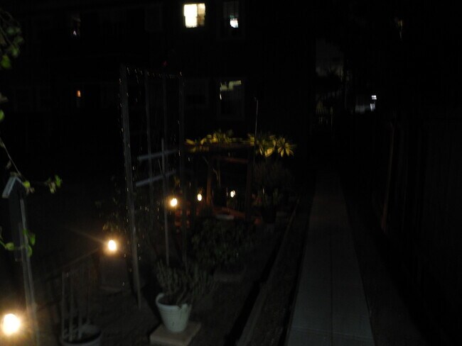 Night lights from garden - 1934 Henderson Ave