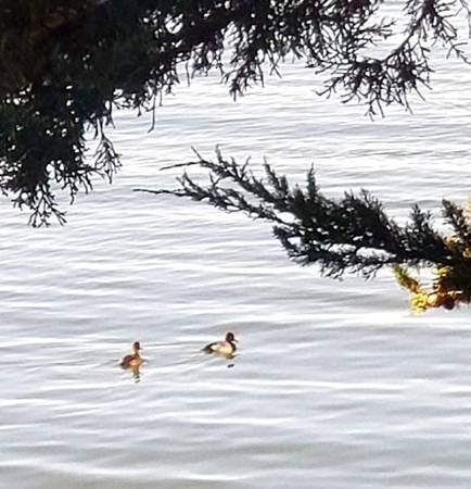 Foto del edificio - 5 Admiral Dr